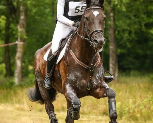 Fleur de Roij